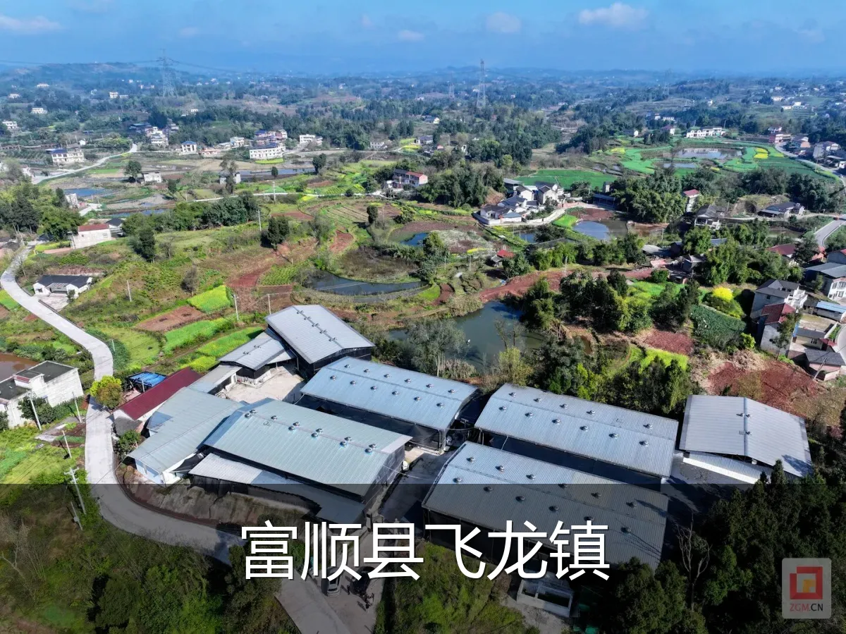 富顺县飞龙镇