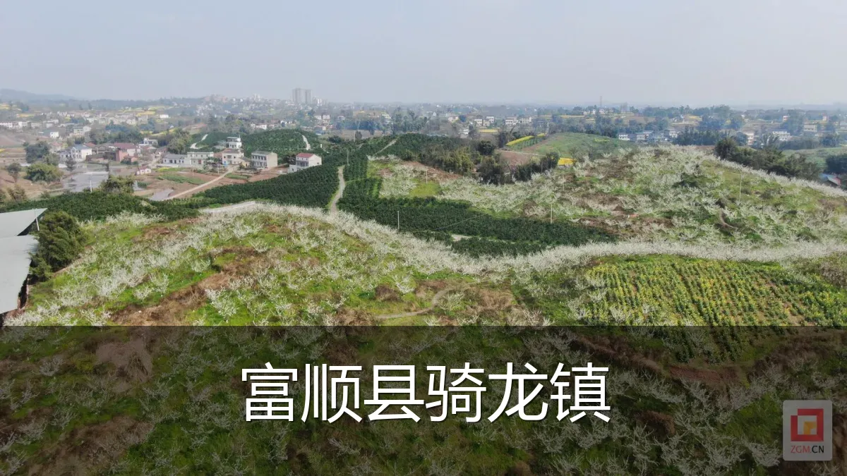 富顺县骑龙镇