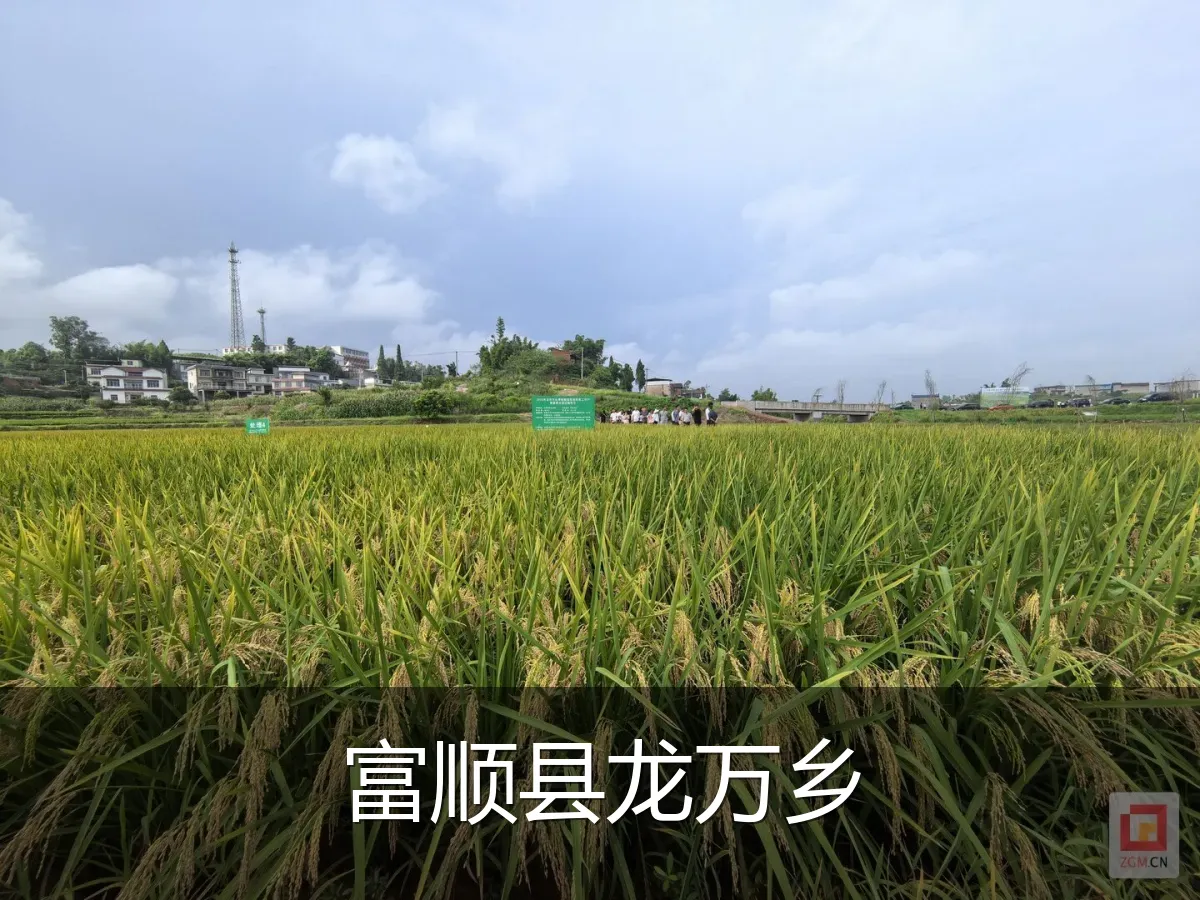 富顺县龙万乡